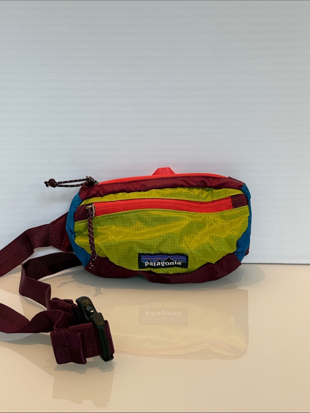 Patagonia Men's Colorblock Hip Pack in Green, Red, Blue
